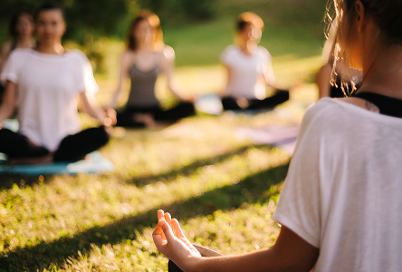 Clinics and wellness studios.